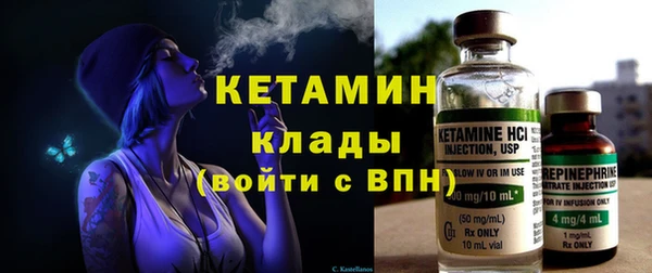 крисы Алексин