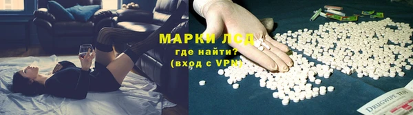 PSILOCYBIN Алексеевка