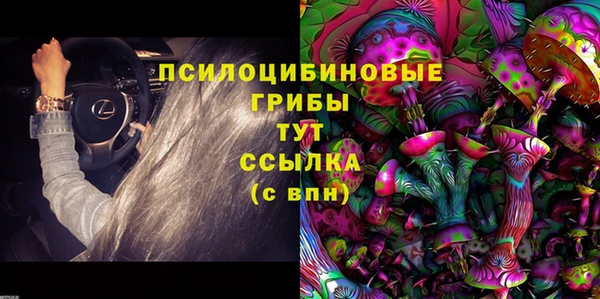 крисы Алексин