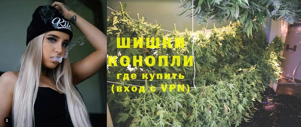 дживик Алзамай